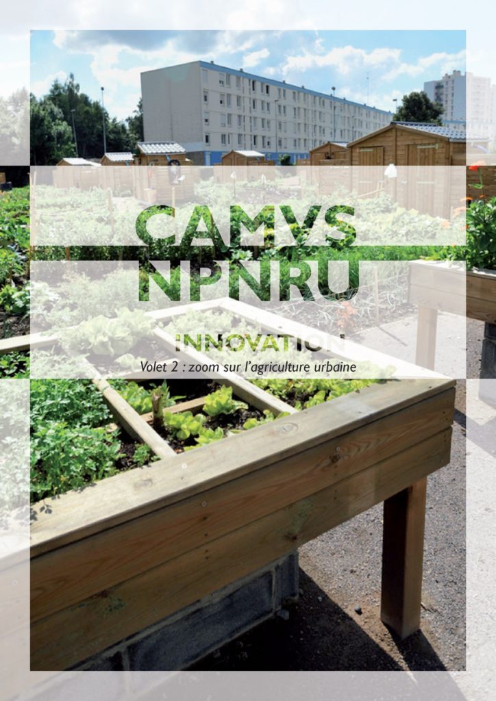 Innovation - Volet 2 Agriculture urbaine